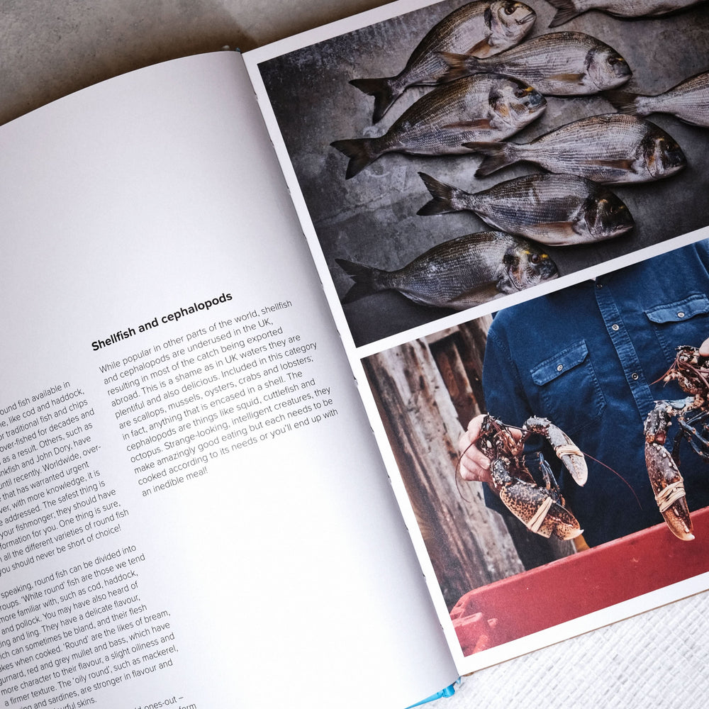 TOG X OUTLAW'S Home Set